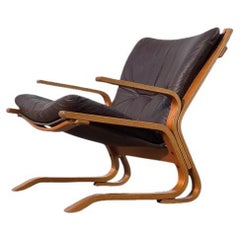 Norwegian Lounge Chair by Oddvin Rykken for Rybo & Co.