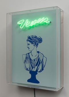 Nostalgia and Venus Diptych. Neon Light Box Wall Sculpture.