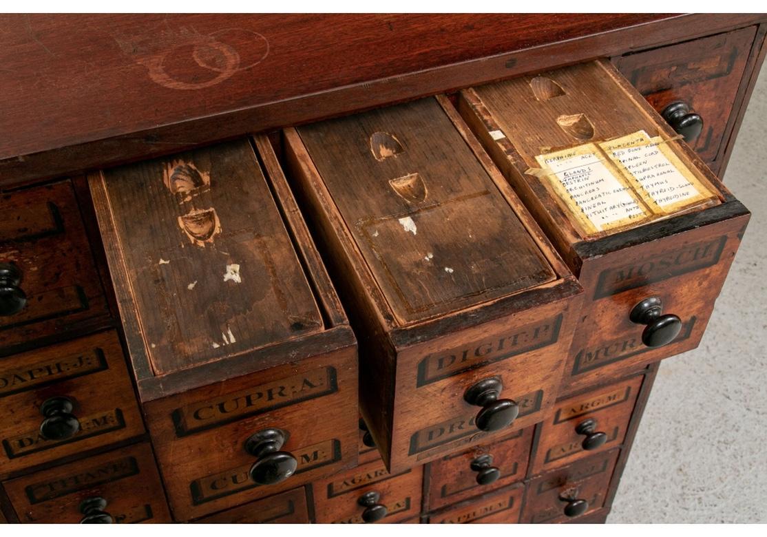 19th Century Noteworthy Antique Mahogany Apothecary Cabinet