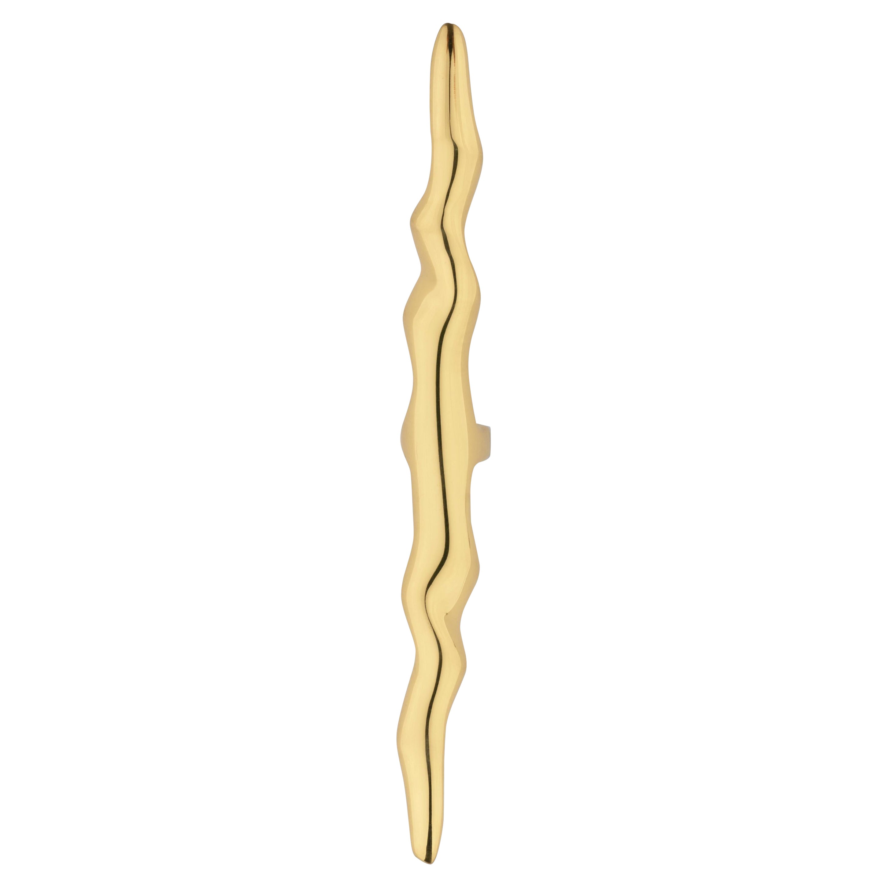 Nouveau Cabinet Handles - Handcrafted Polished Brass - PullCast