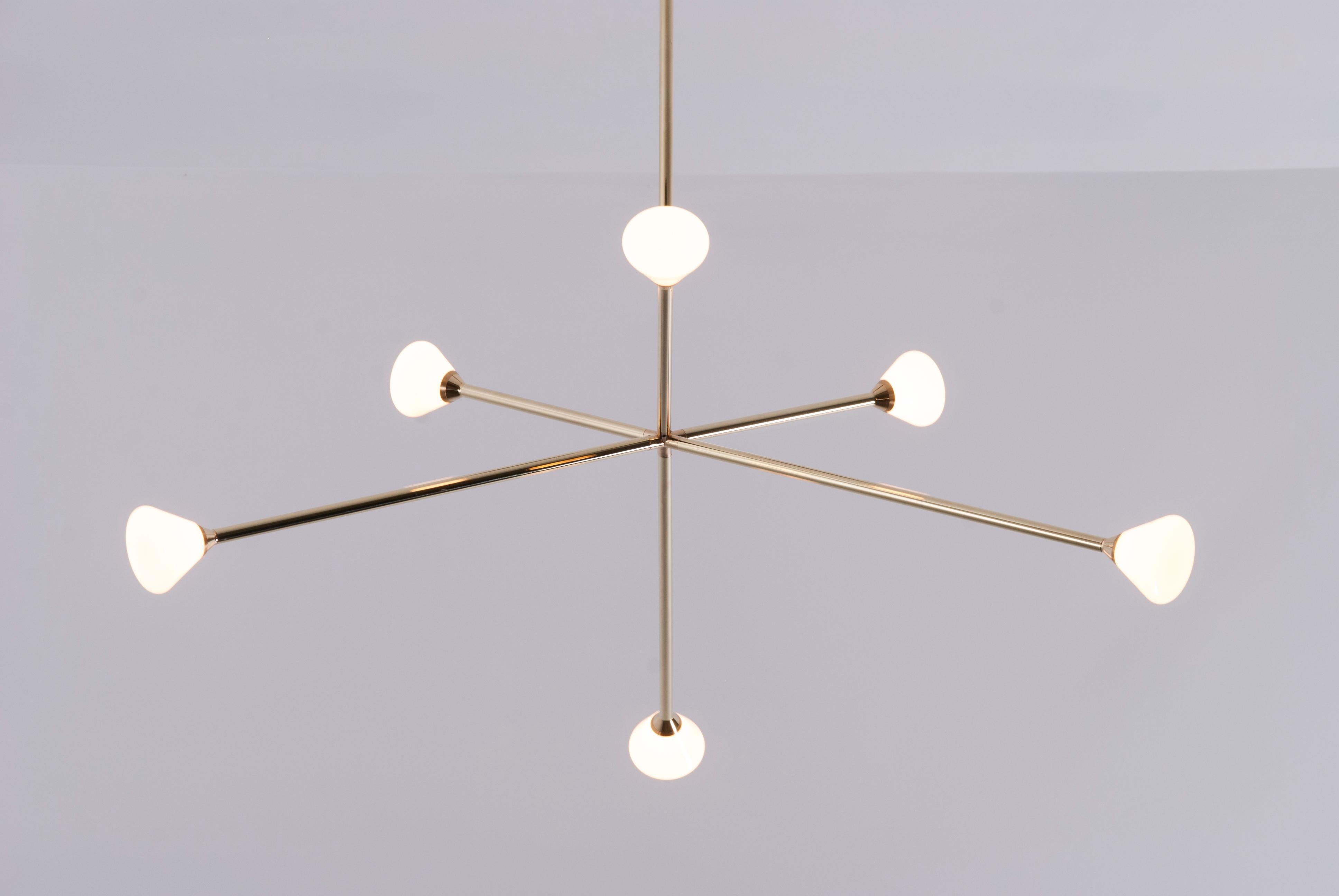 branched light fittings
