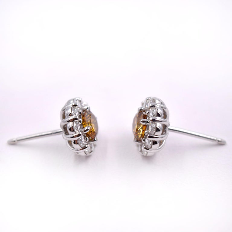 Novel Collection GIA Certified Orange Diamond Earring Studs in 18 Karat Gold For Sale at 1stDibs