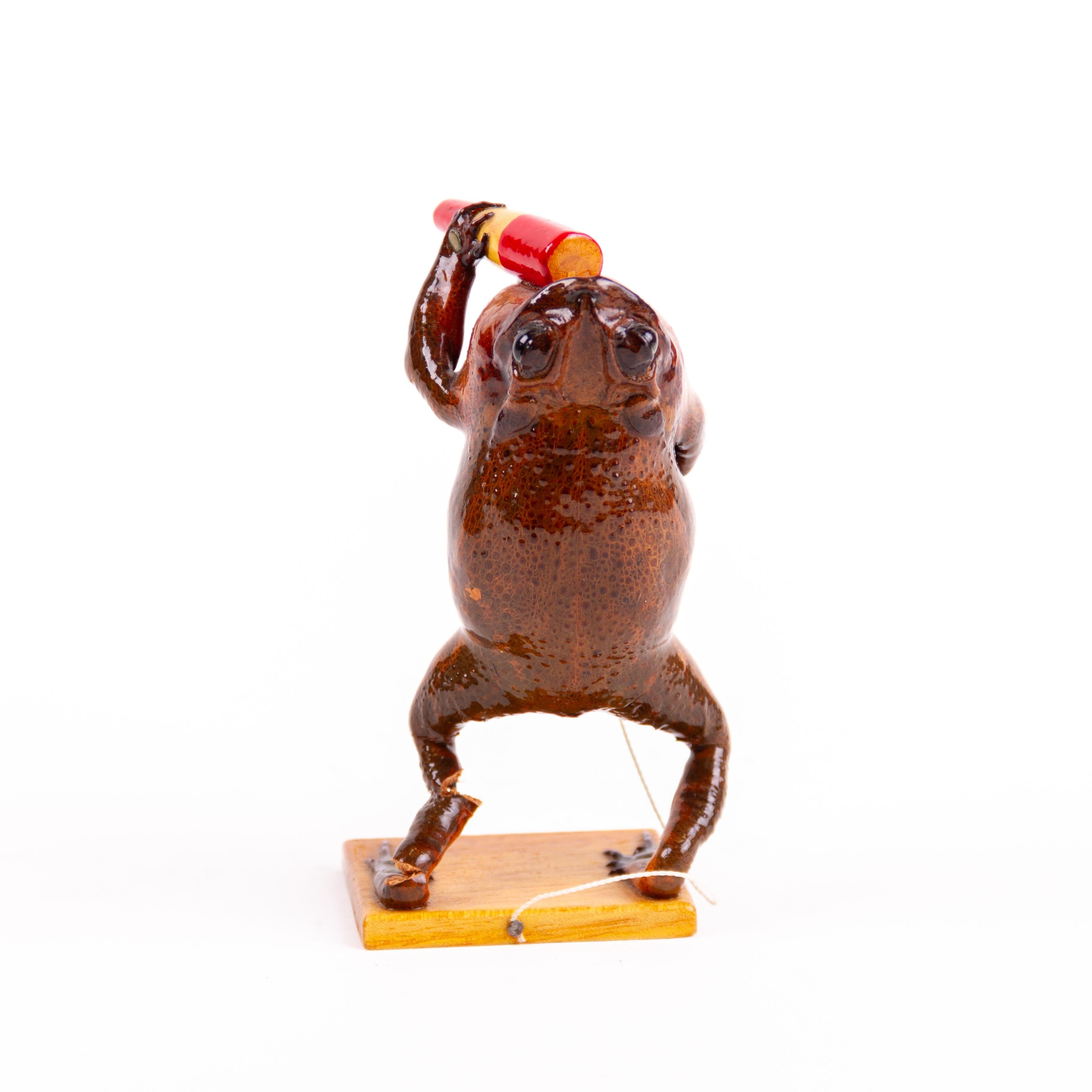 Novelty Taxidermy Singing Frog  In Good Condition For Sale In Nottingham, GB