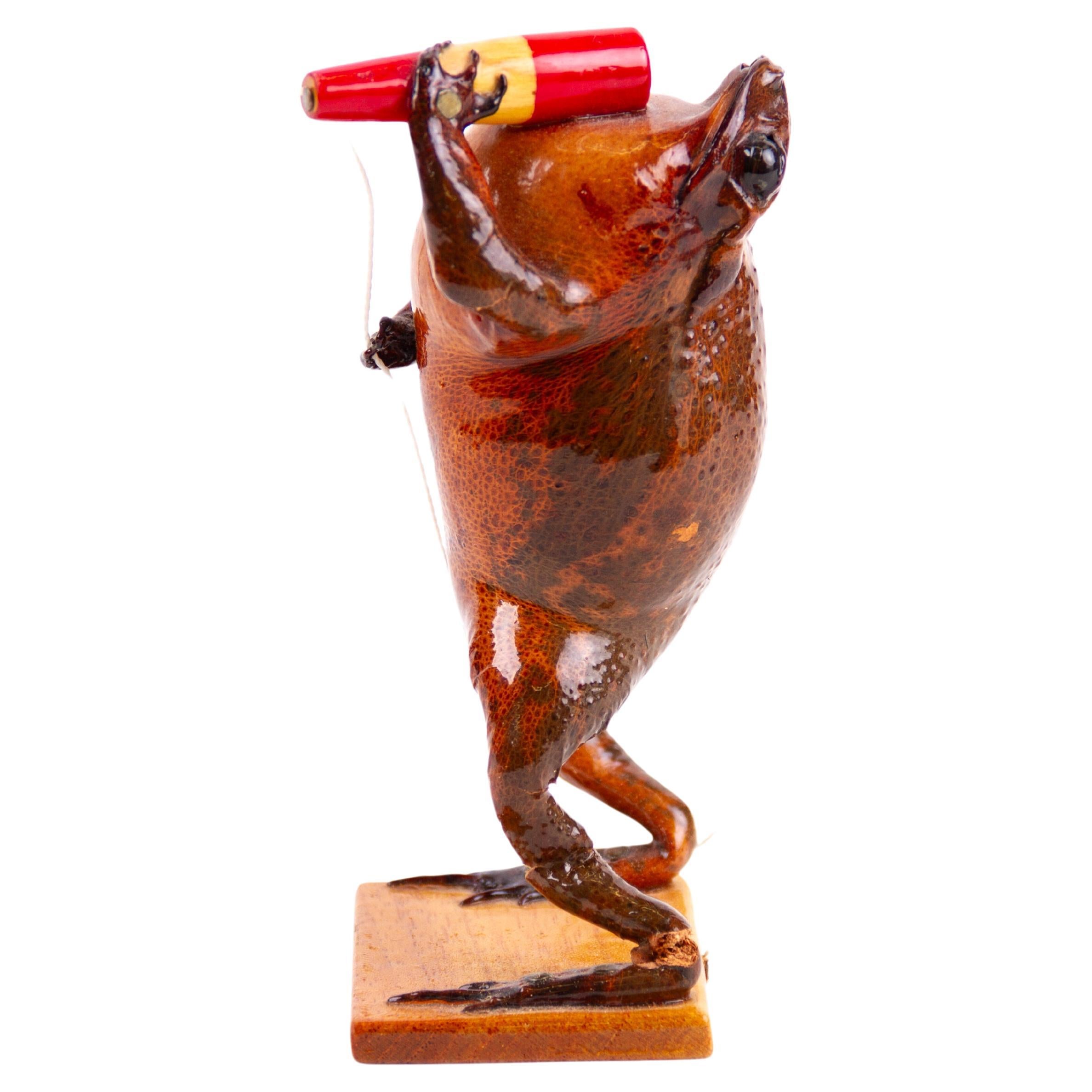 Novelty Taxidermy Singing Frog  For Sale