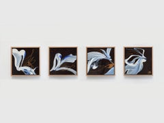 Bodies of Light Quadriptych