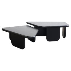 "NS3" Modern Nesting Coffee Tables by Last Workshop, Black Ash