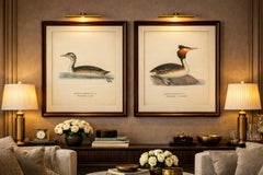 ntique Great Crested Grebe Bird Lithographs Set of 2, Sweden Ornithology 1929