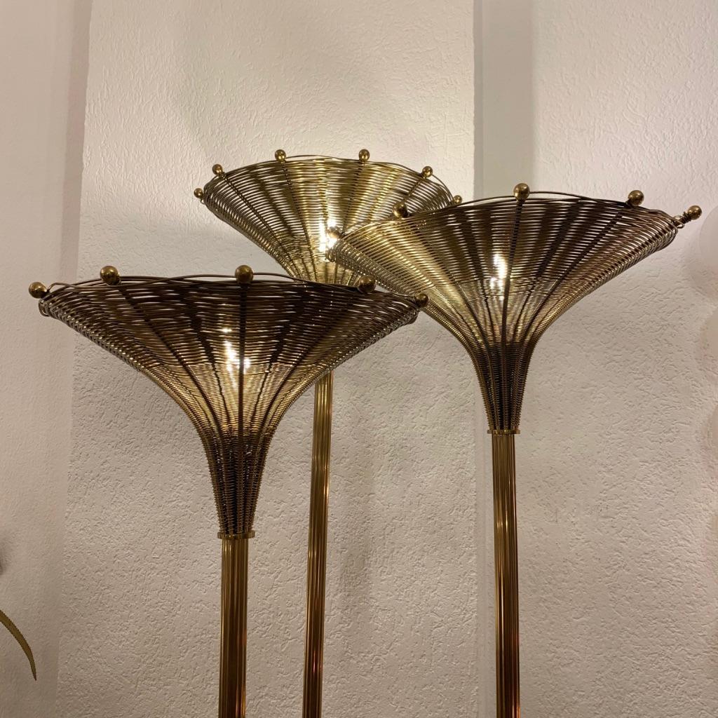Nucci Valsecchi 
