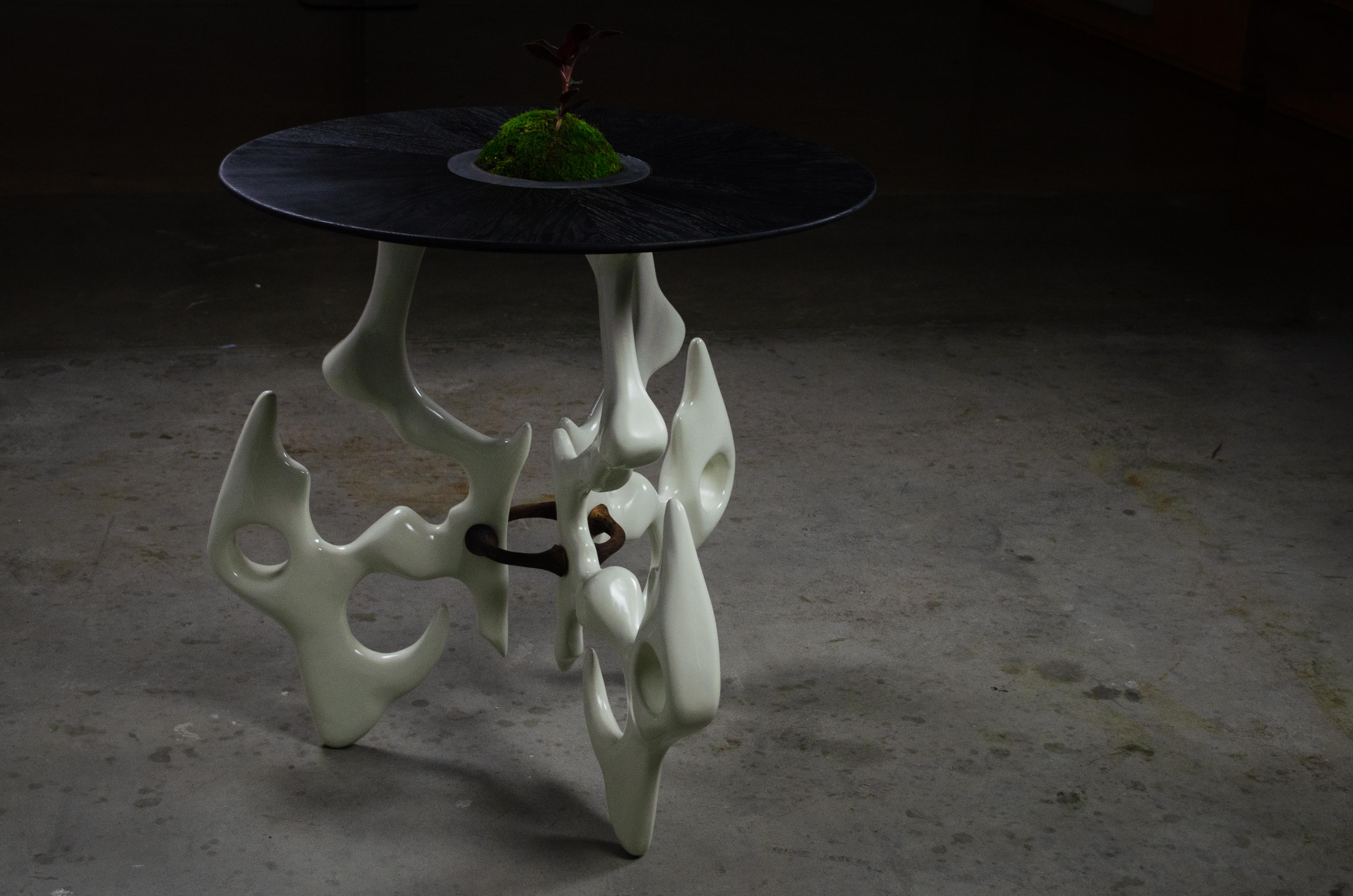 Cette table est composée de trois pieds en bois sculptés dans du contreplaqué et revêtus d'une couleur osseuse avec une finition brillante. Ces pieds sont fixés par trois supports en noyer qui relient chacun des pieds entre eux et renforcent la