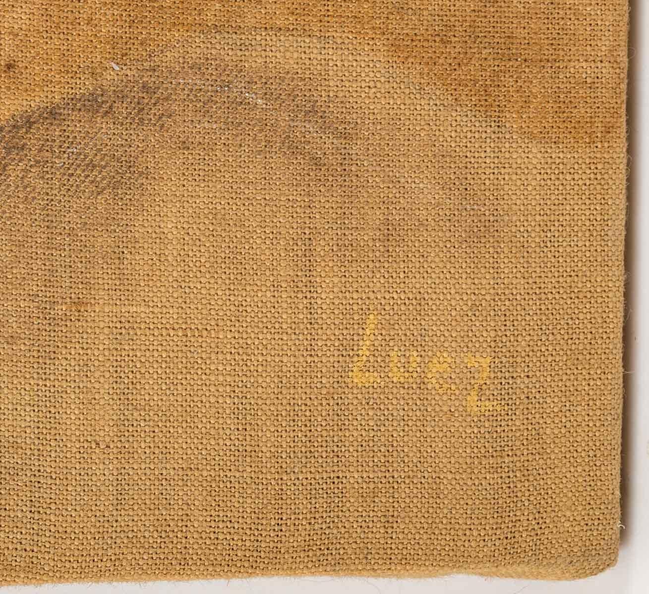 Nude, oil on canvas, 20th century.
School of Paris, Evelyne Luez.
Measures: H: 55 cm, W: 81 cm.