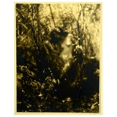 "Nude in the Wood, " by Charles J. Cook, Vintage Sepia Toned Photo, c1925