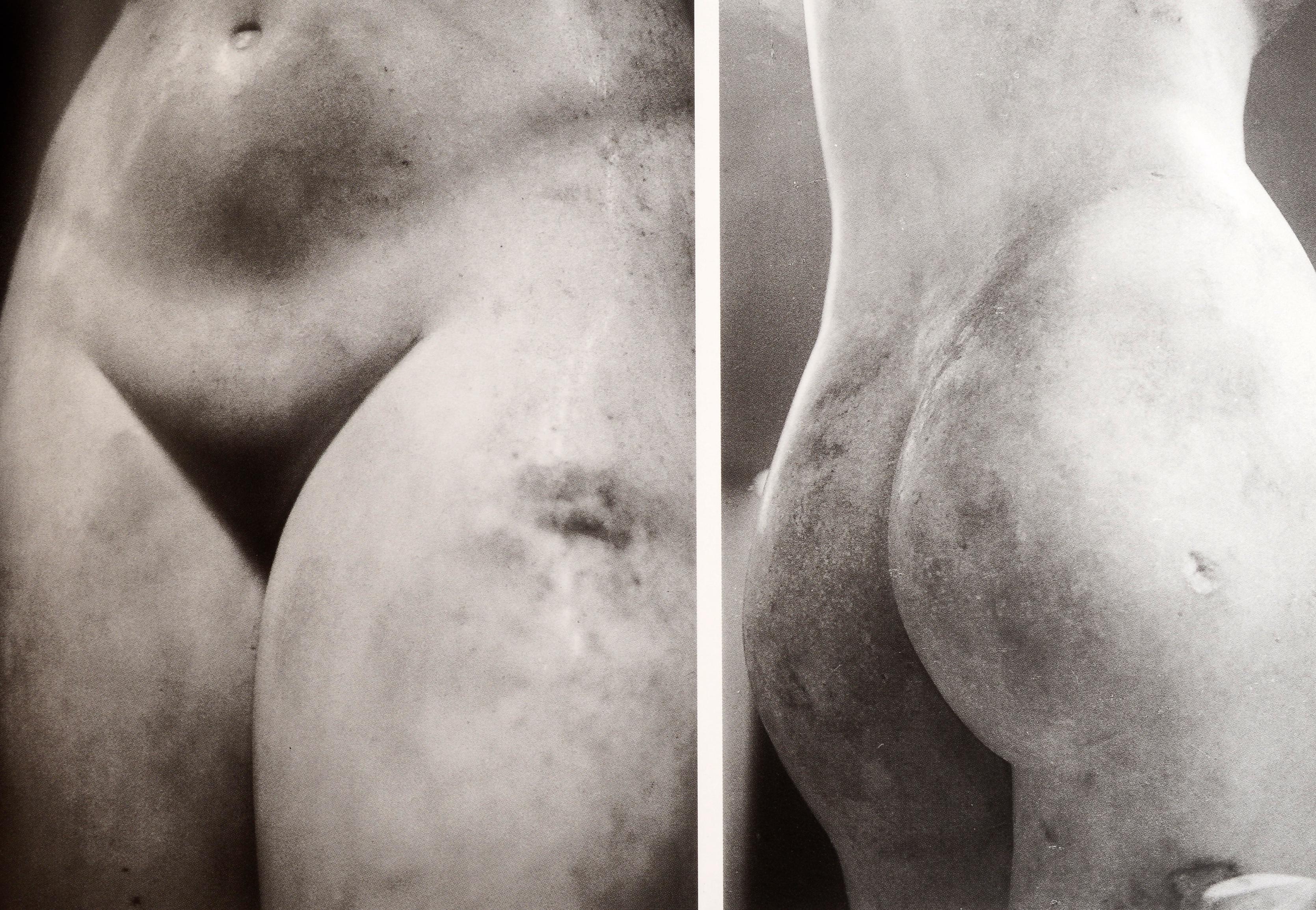 Nude Sculpture: 5, 000 Years by Vicki Goldberg & Photographer-David Finn, 1st Ed 3