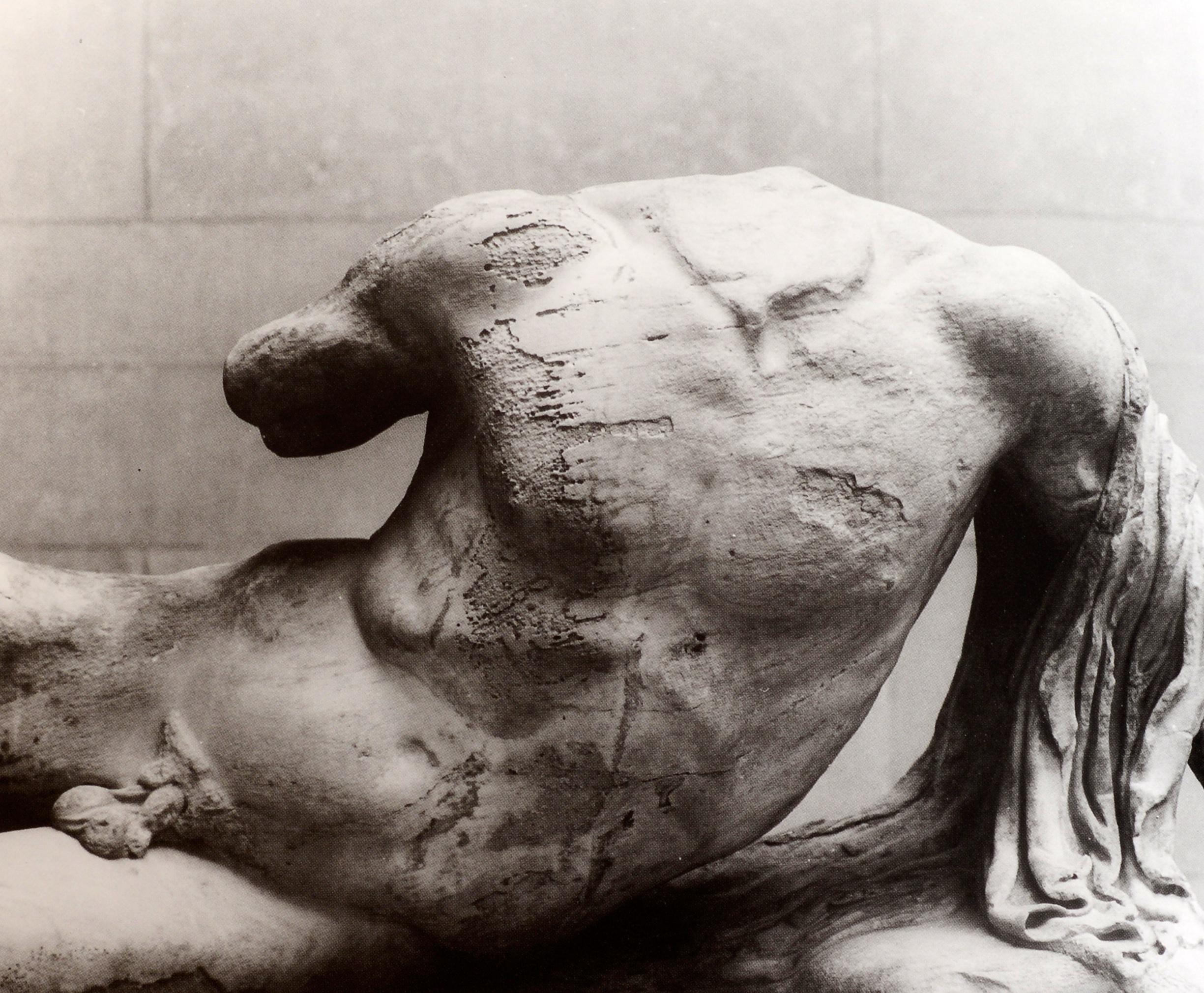 Nude Sculpture: 5, 000 Years by Vicki Goldberg & Photographer-David Finn, 1st Ed 5