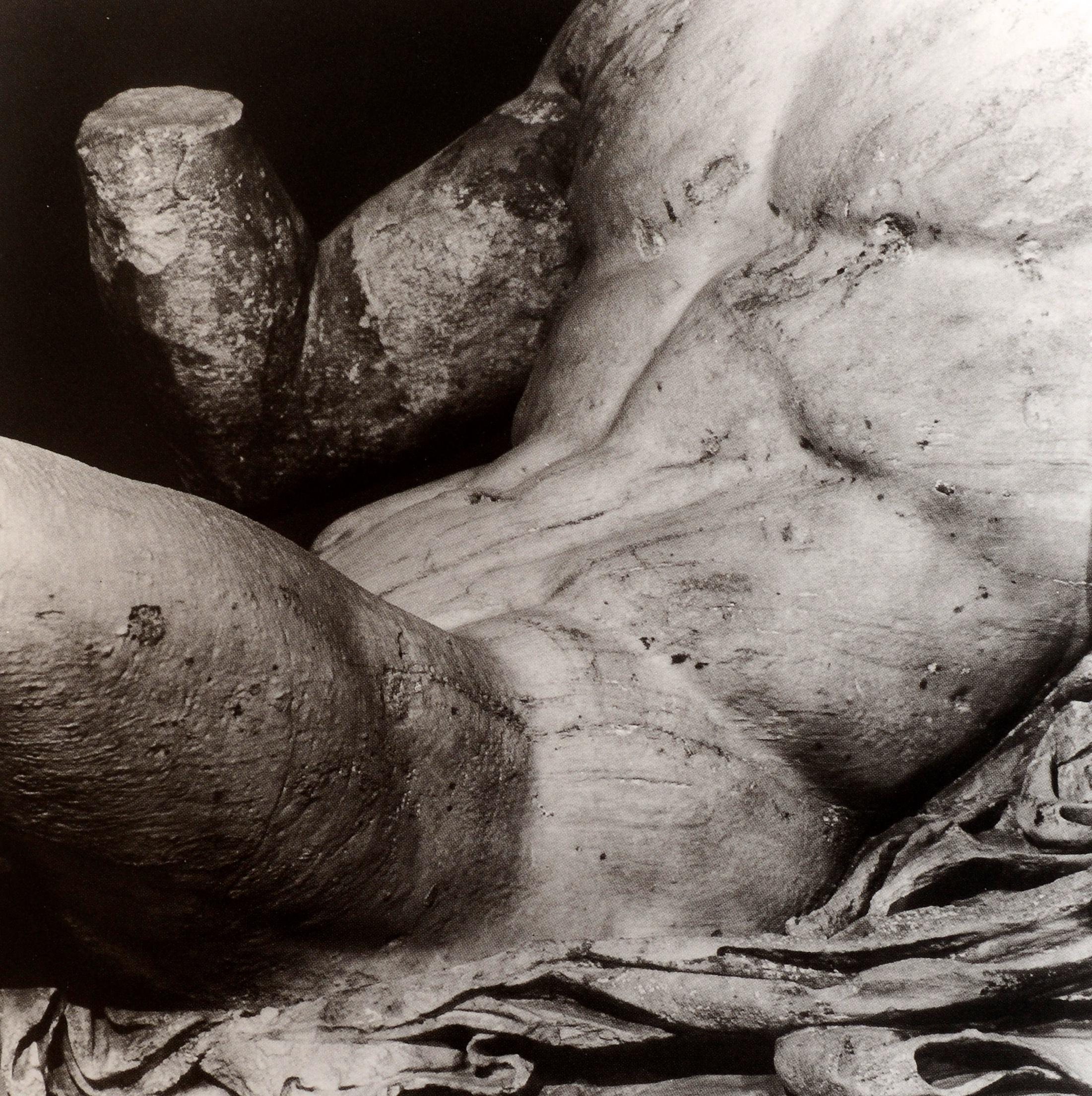 Nude Sculpture: 5, 000 Years by Vicki Goldberg & Photographer-David Finn, 1st Ed 6