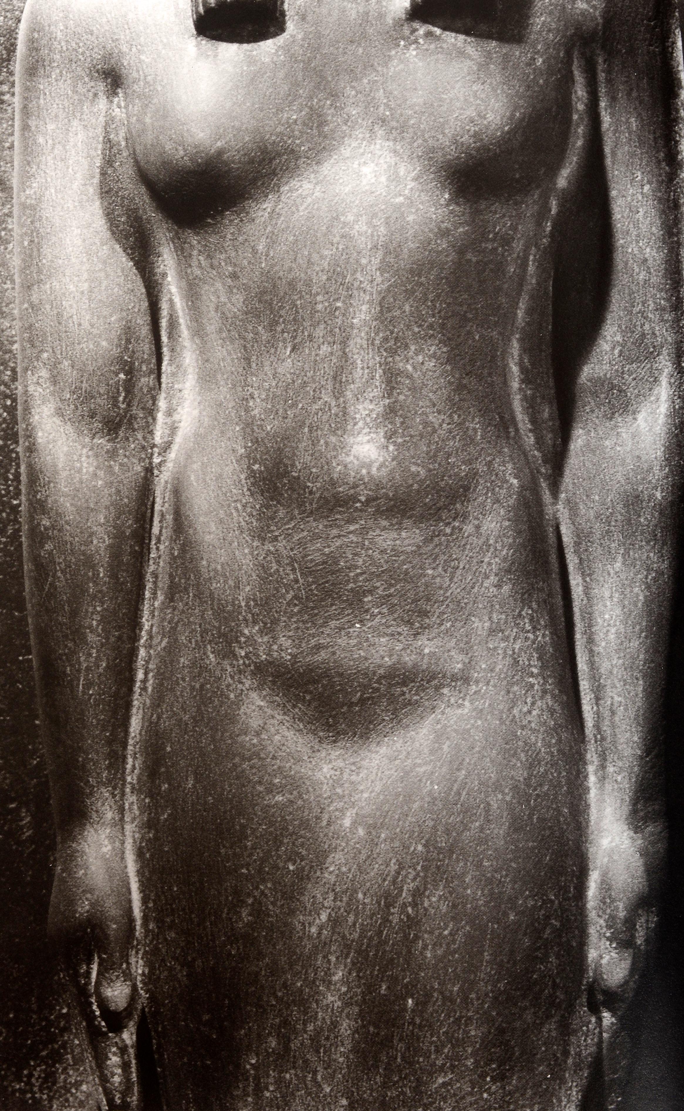 American Nude Sculpture: 5, 000 Years by Vicki Goldberg & Photographer-David Finn, 1st Ed