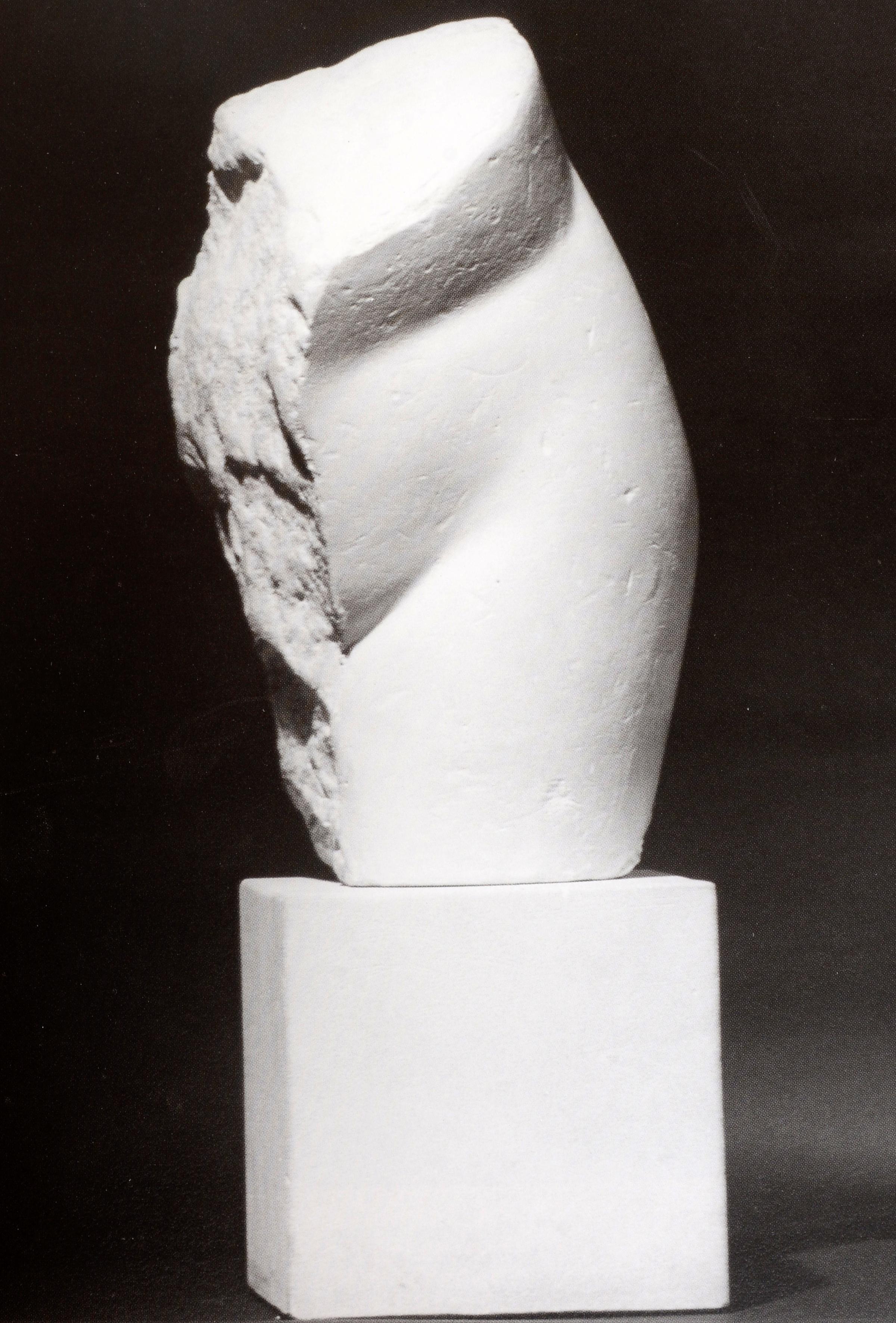 Nude Sculpture: 5, 000 Years by Vicki Goldberg & Photographer-David Finn, 1st Ed 1
