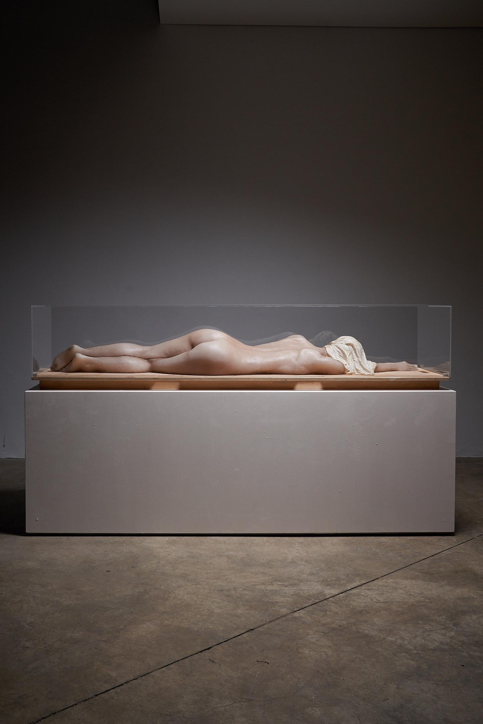 Femme nue en cire dans du plexiglas Pièce d'art. Cette sculpture exceptionnelle représente la figure de cire d'une dame, gracieusement enfermée dans une boîte en plexiglas transparent.