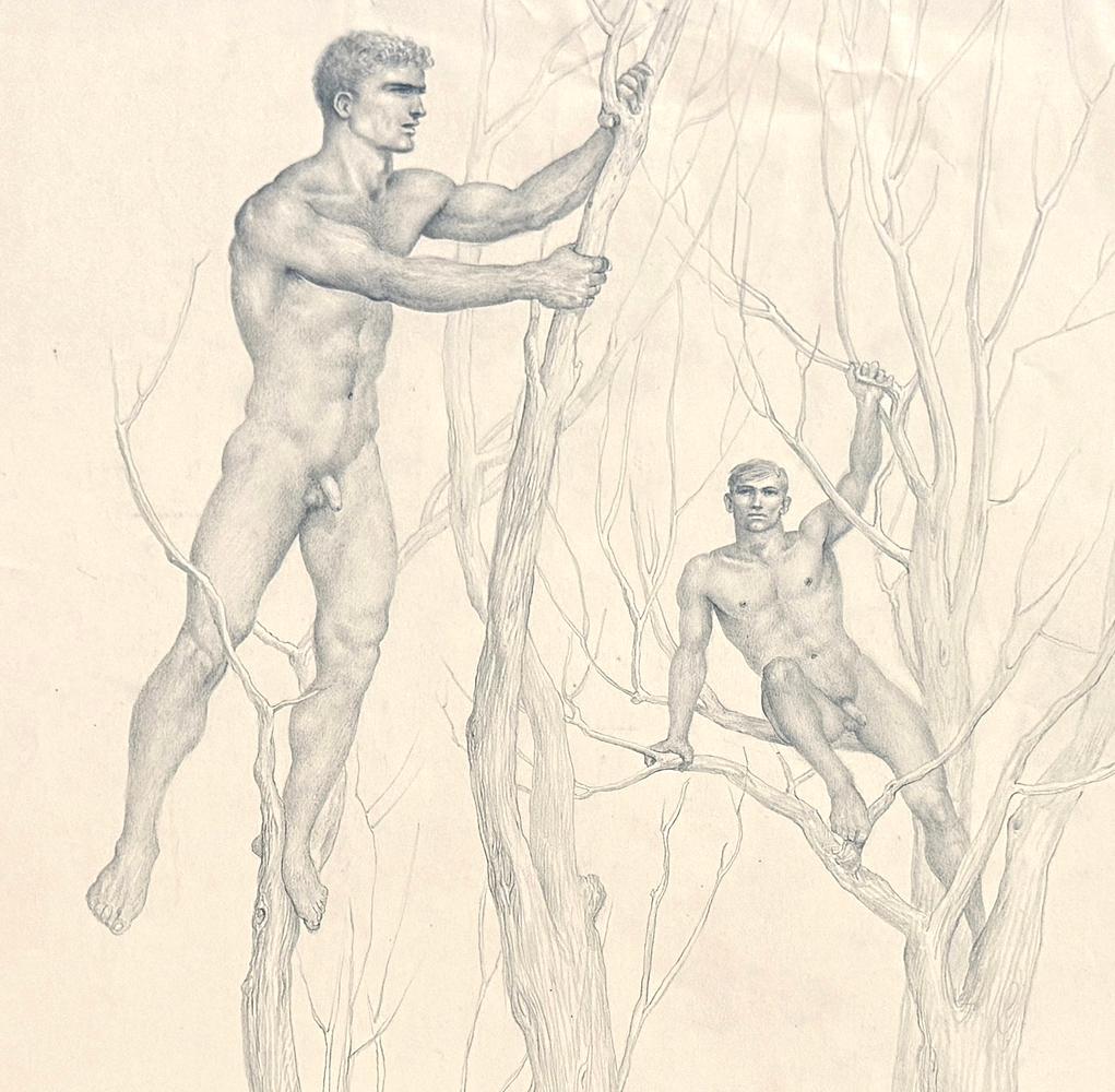 Dieses frühe, wichtige und fein gezeichnete Werk von John B. Lear zeigt zwei nackte männliche Figuren, die zwischen den Zweigen zweier Bäume hängen. Jede Figur demonstriert die Sorgfalt, mit der er die Schönheit, die Stärke und den Charakter der