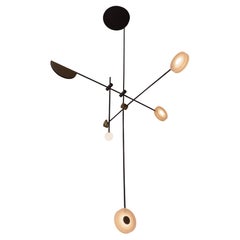 Lámpara colgante Numa de acero ennegrecido y latón by Nuumbra