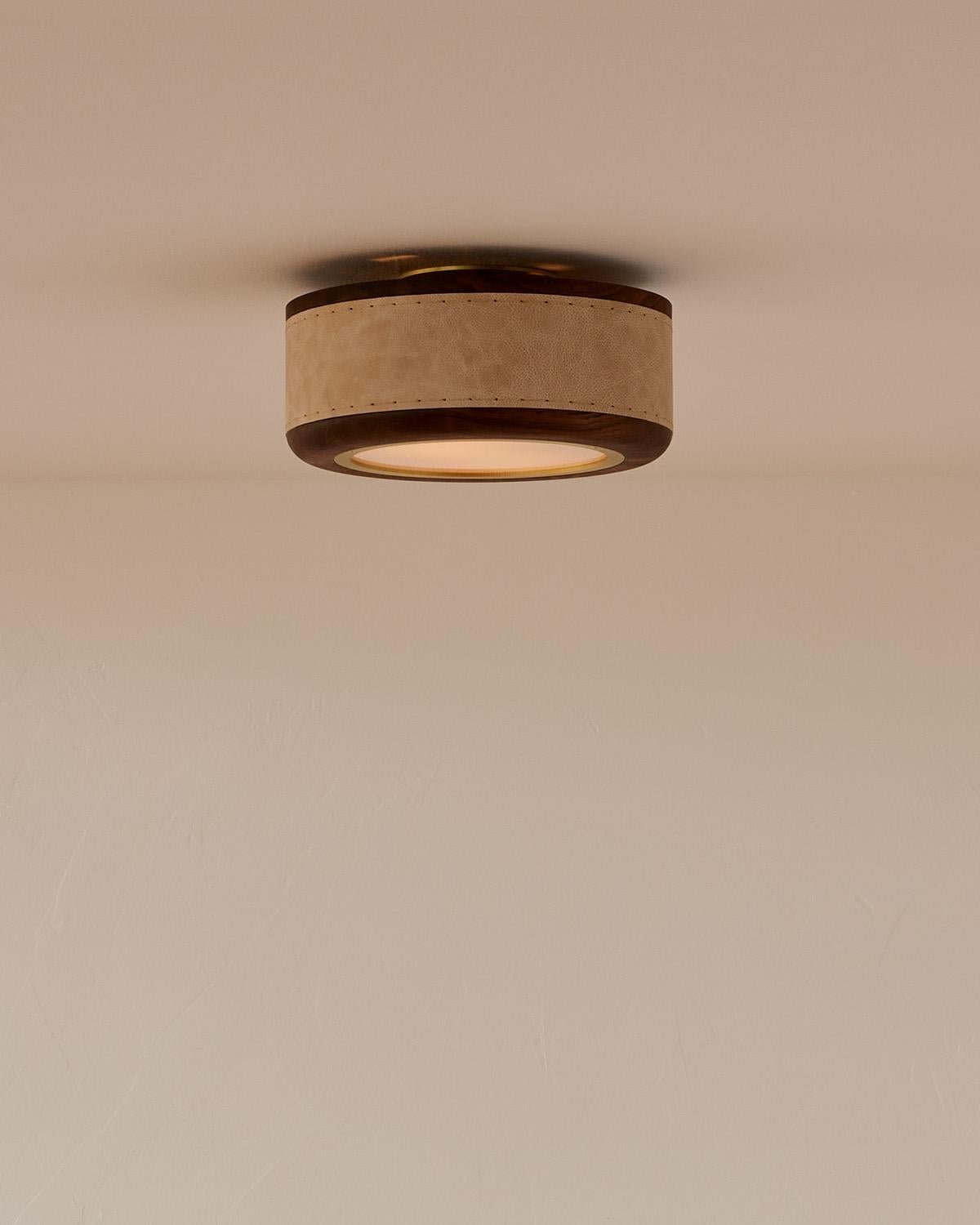 Modern Nura Ceiling Fixture - 12