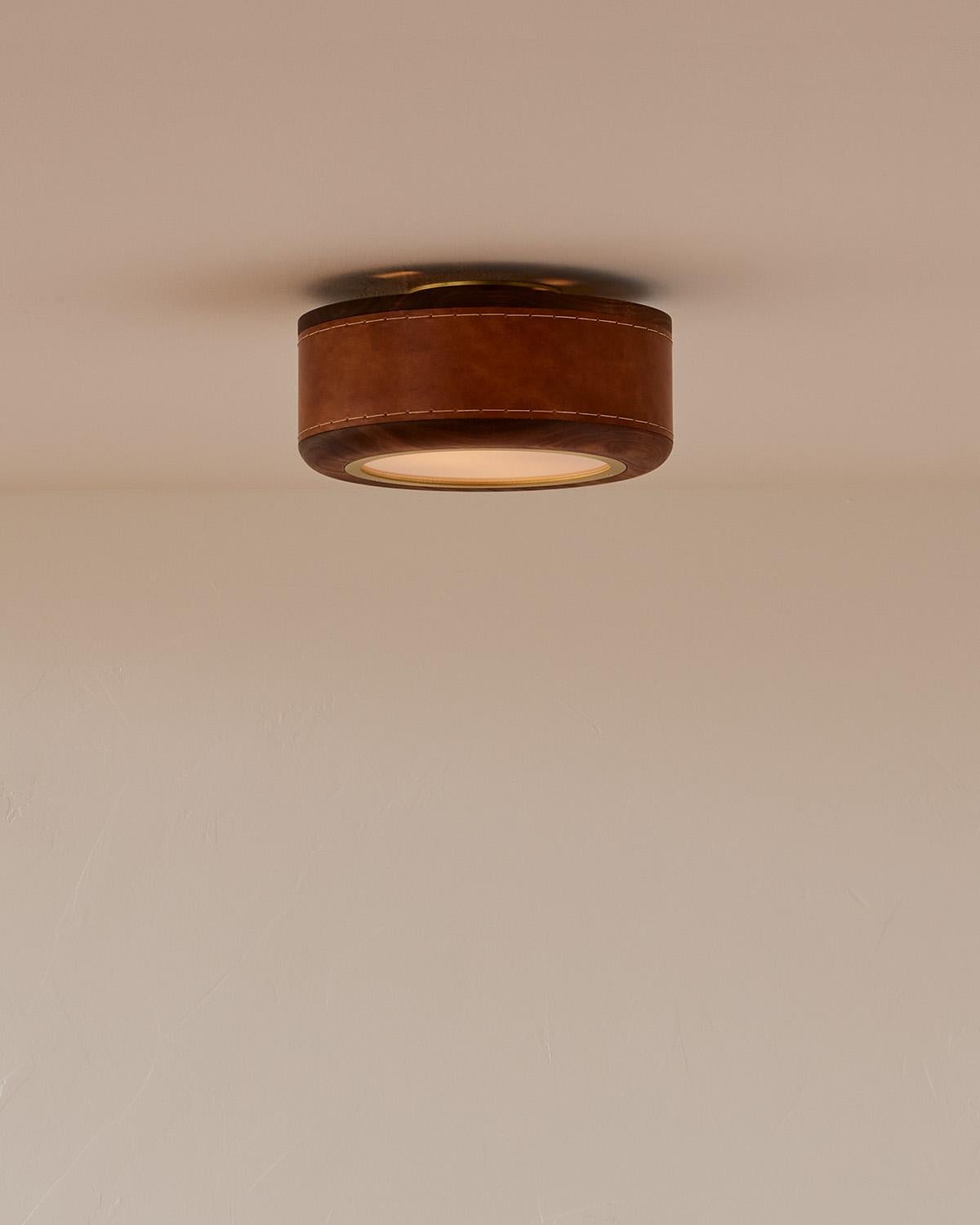 Modern Nura Ceiling Fixture - 12