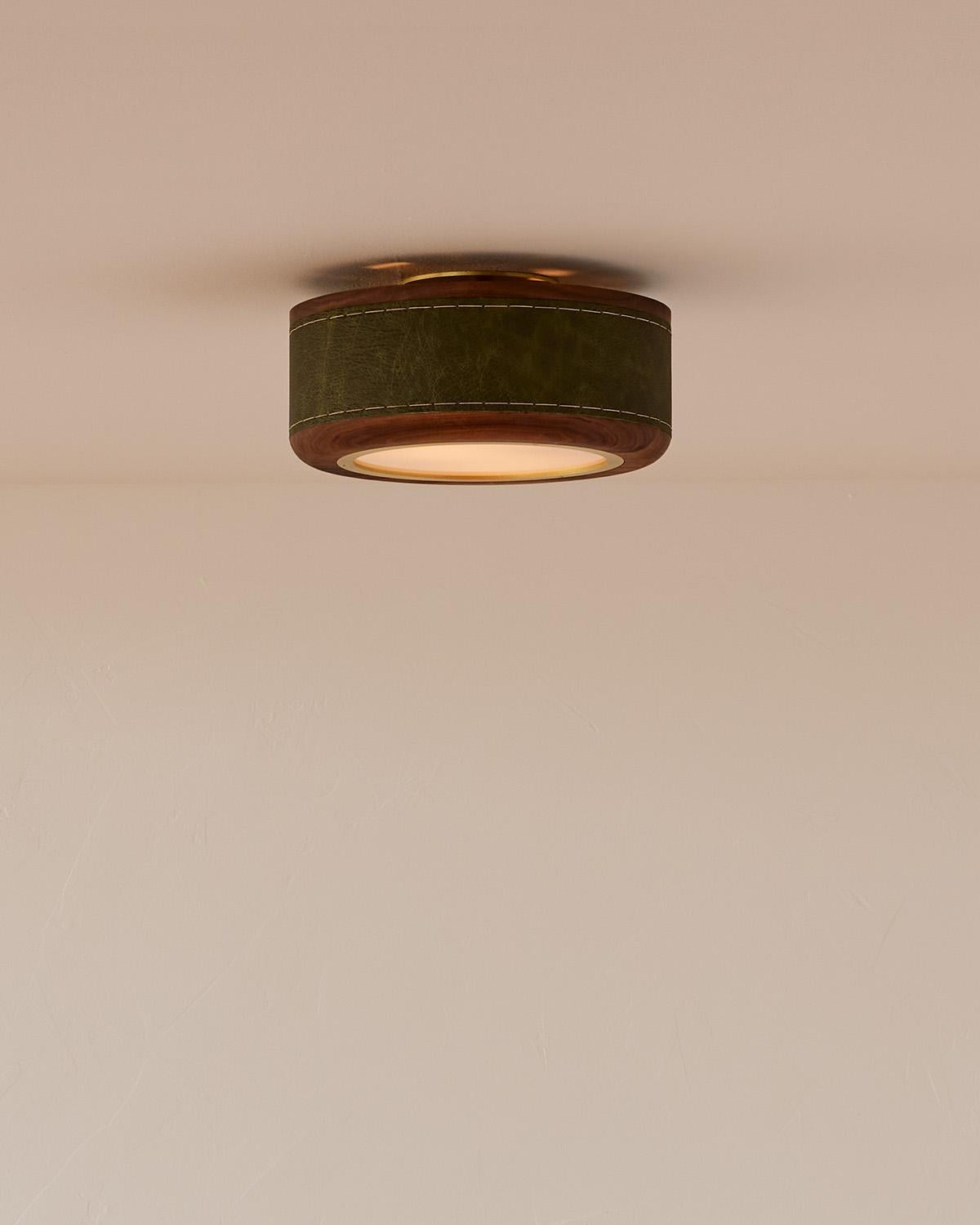 Modern Nura Ceiling Fixture - 12