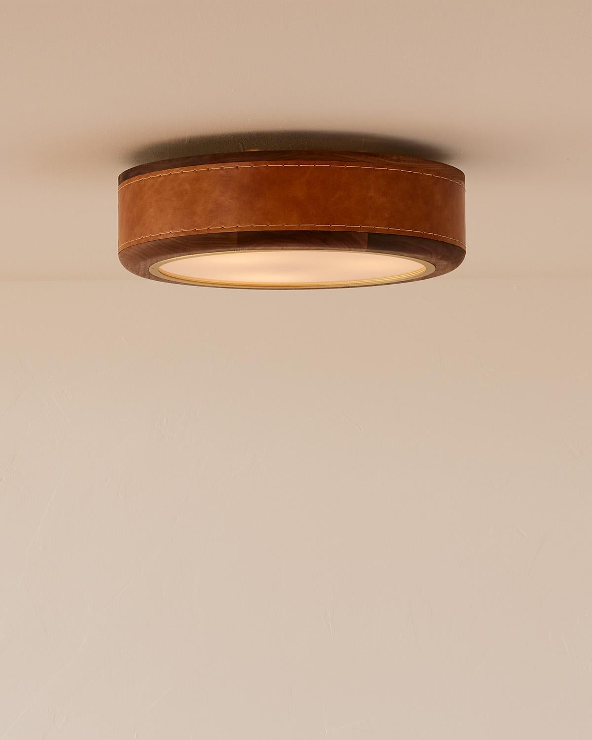 Modern Nura Ceiling Fixture - 18