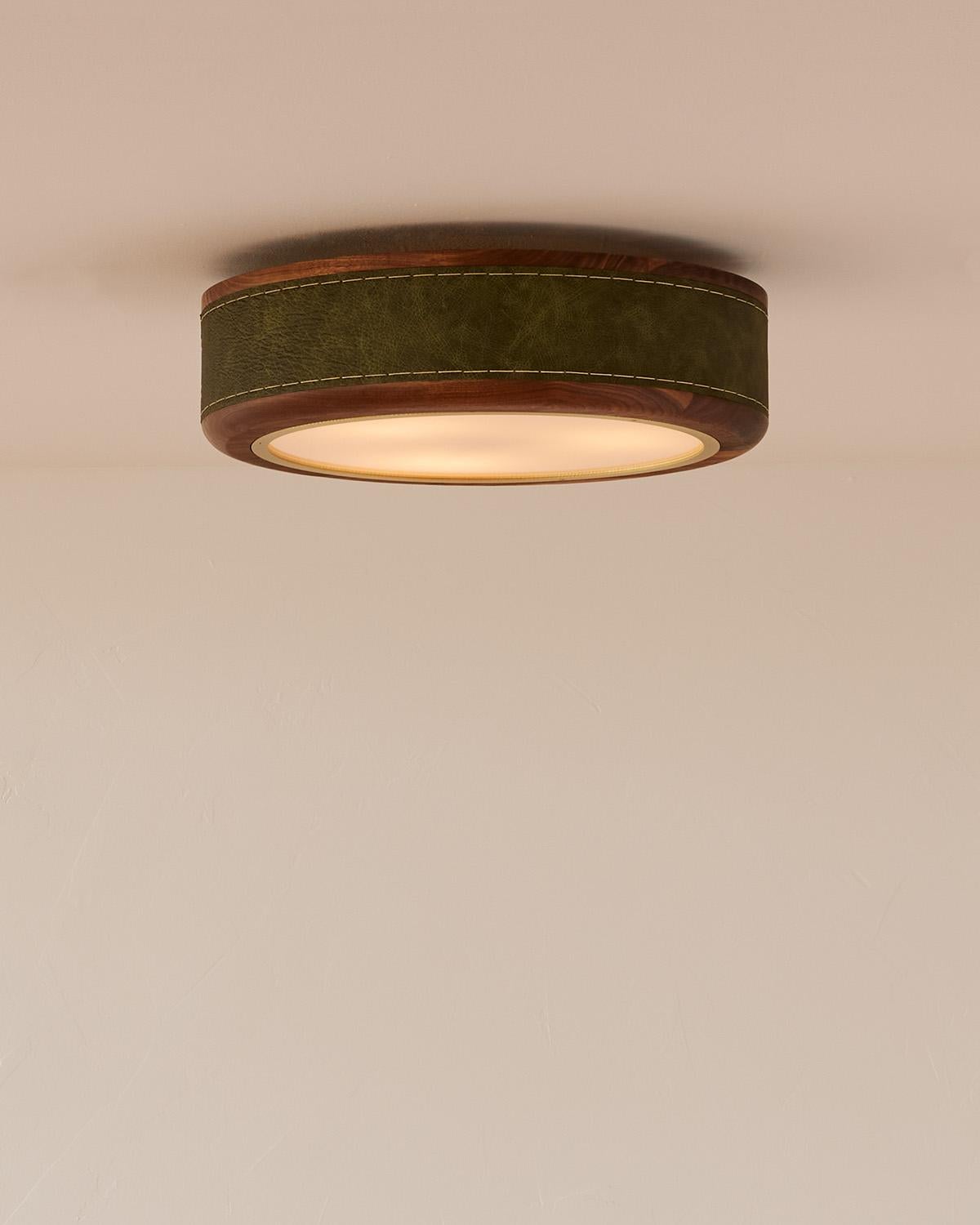 Modern Nura Ceiling Fixture - 18