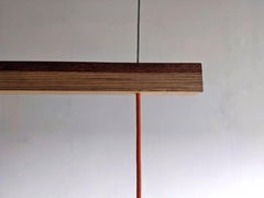 Nutshell hanging rig