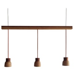 Nutshell hanging rig