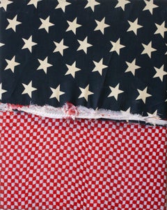 Somebody's flag-Mixed Media, Canvas, Fabric, Thread, Contemporary, American Flag