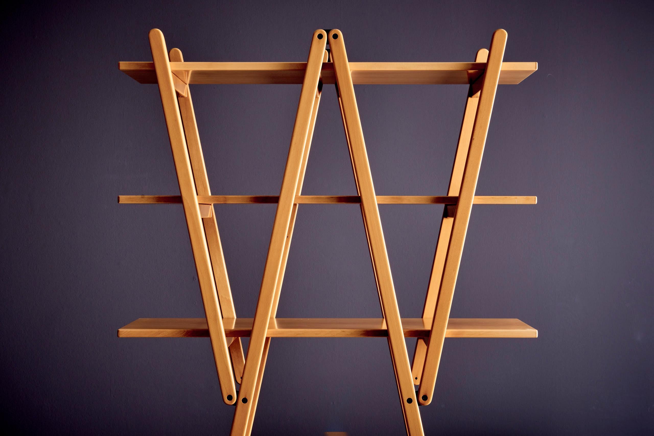 Nuvola Rossa bookshelf by Vico Magistretti for Cassina For Sale 2