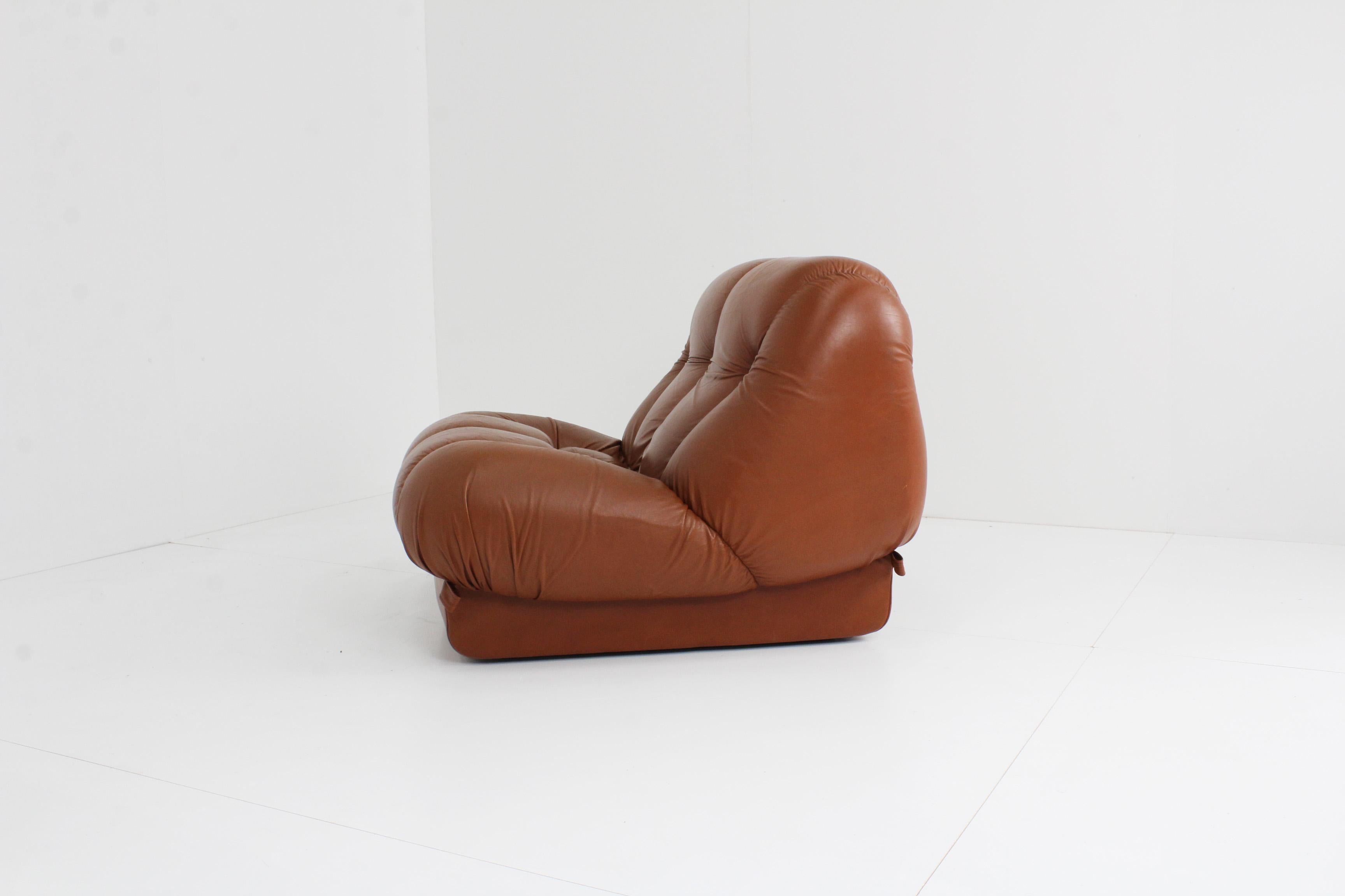Nuvolone Lounge Chair from Italy Designed by Rino Maturi and Produced by Mimo Pa 4