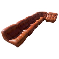Nuvolone Sofa by Rino Maturi, 1960s