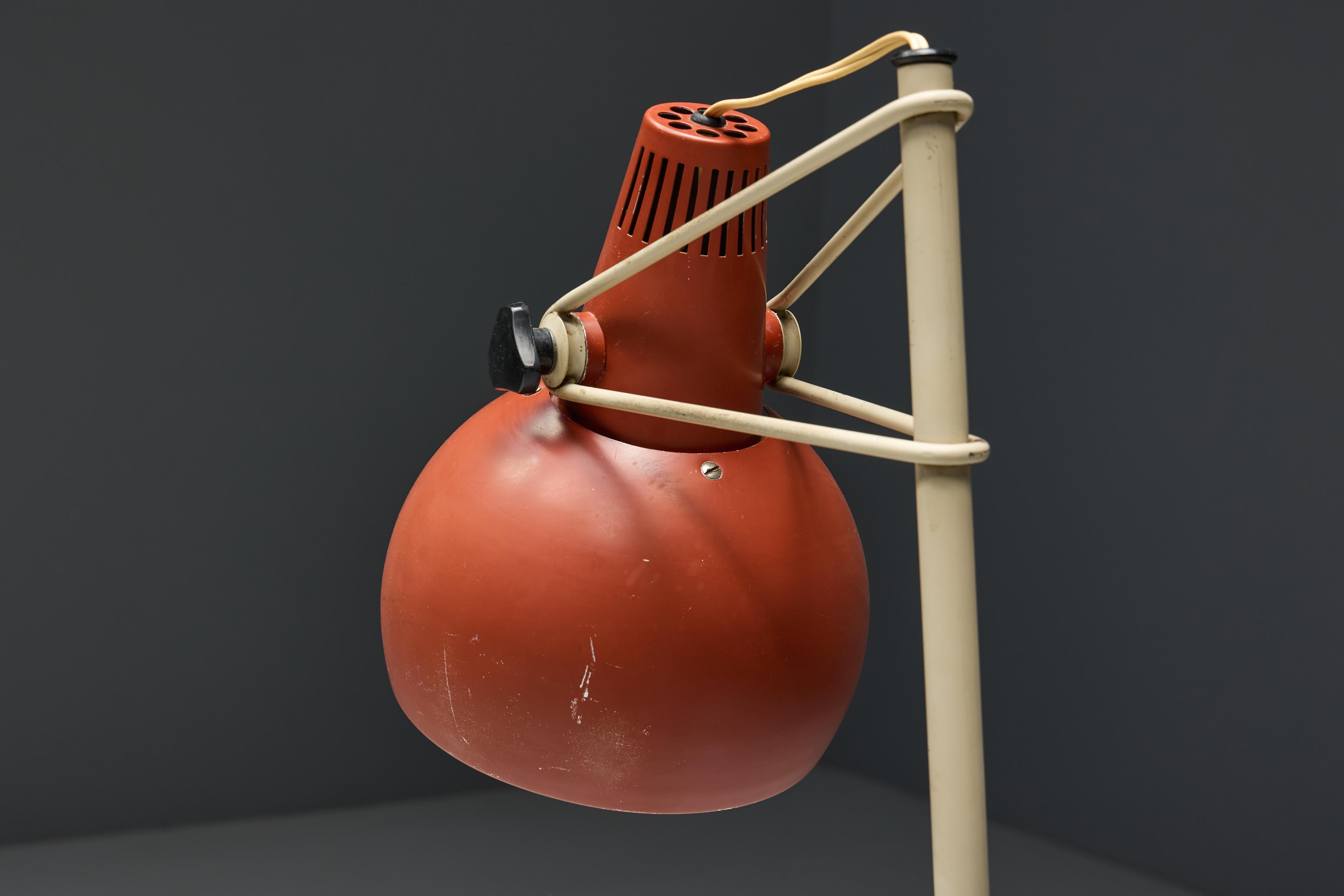 'NX29' Floor Lamp by Louis Kalff for Philips, Netherlands, 1950s For Sale 1
