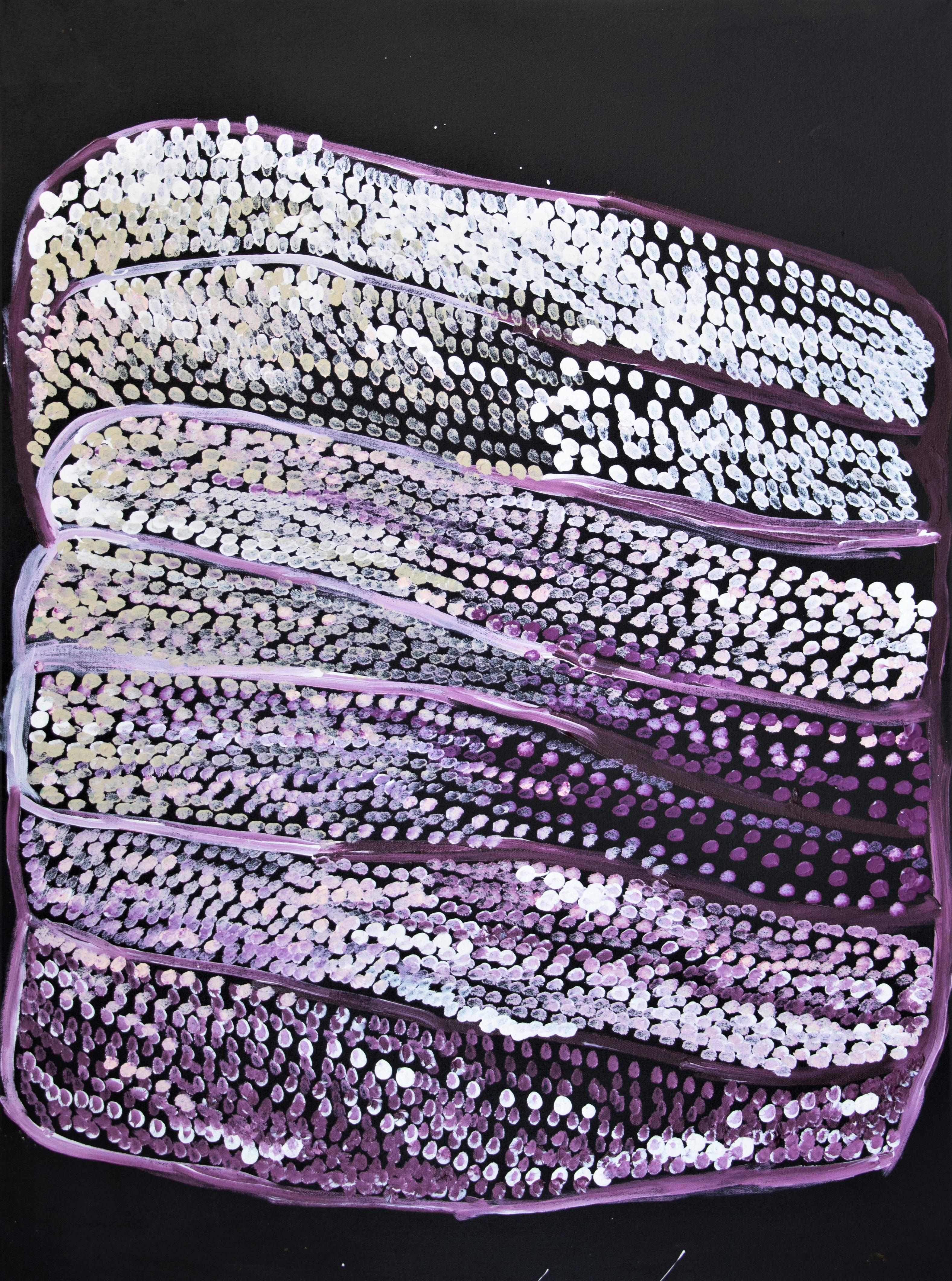 Nyarapayi Giles Abstract Painting - Warmurrungu, Aboriginal purple white abstract dot painting of emus and landscape