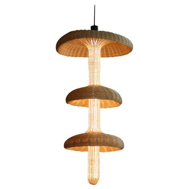 Nymph a Handwoven Reed Pendant with Integral LED Lighting For Sale at ...