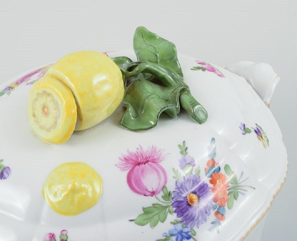 Hand-Painted Nymphenburg, Germany. Hand-painted porcelain lidded tureen. Approx. 1930s For Sale