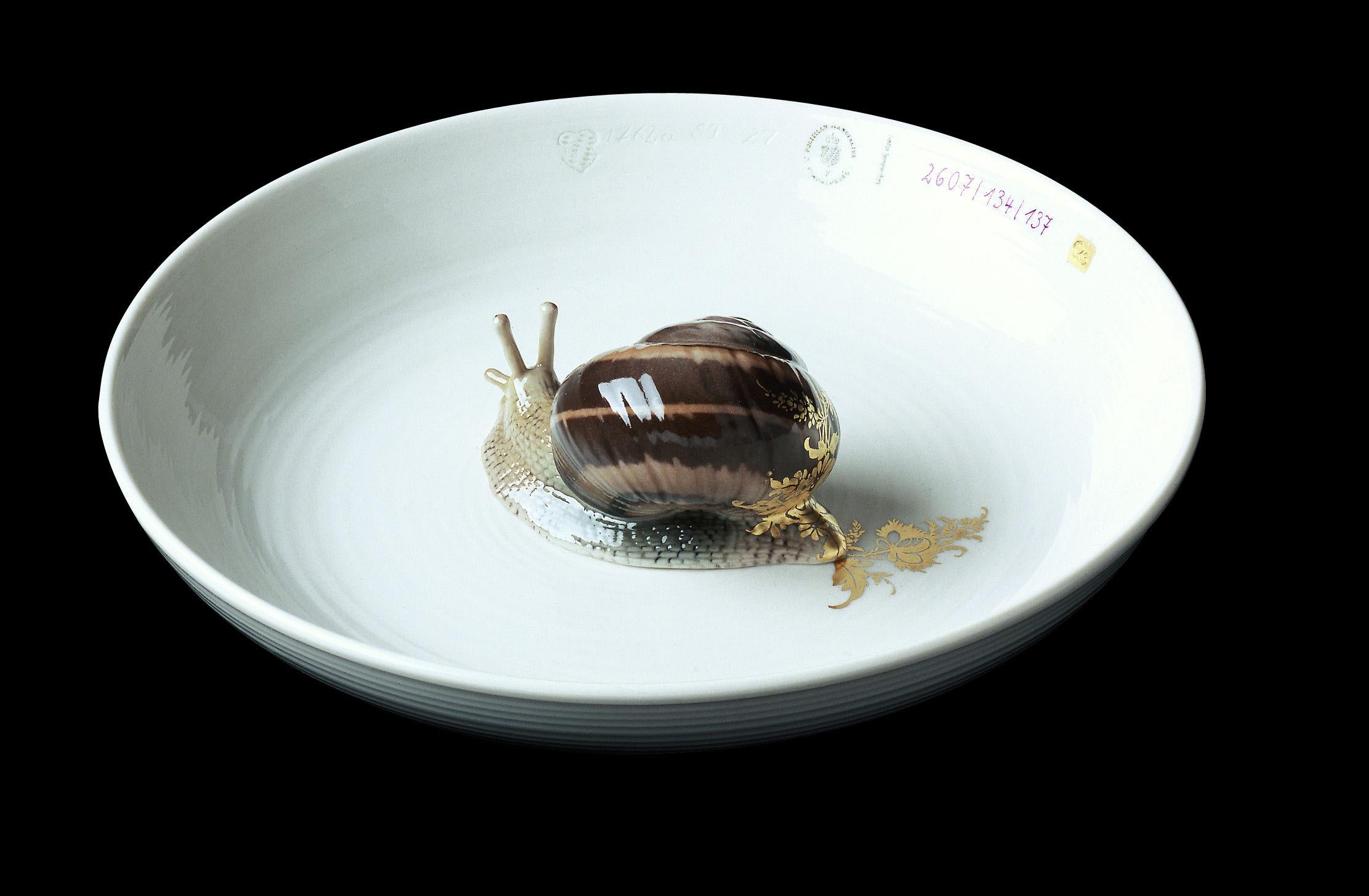 Nymphenburg Hella Jongerius Cuenco caracol porcelana pintada a mano Moderno en venta