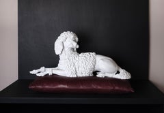 Nymphenburg Porzellan Manufaktur - lying curly poodle in white bisque porcelain