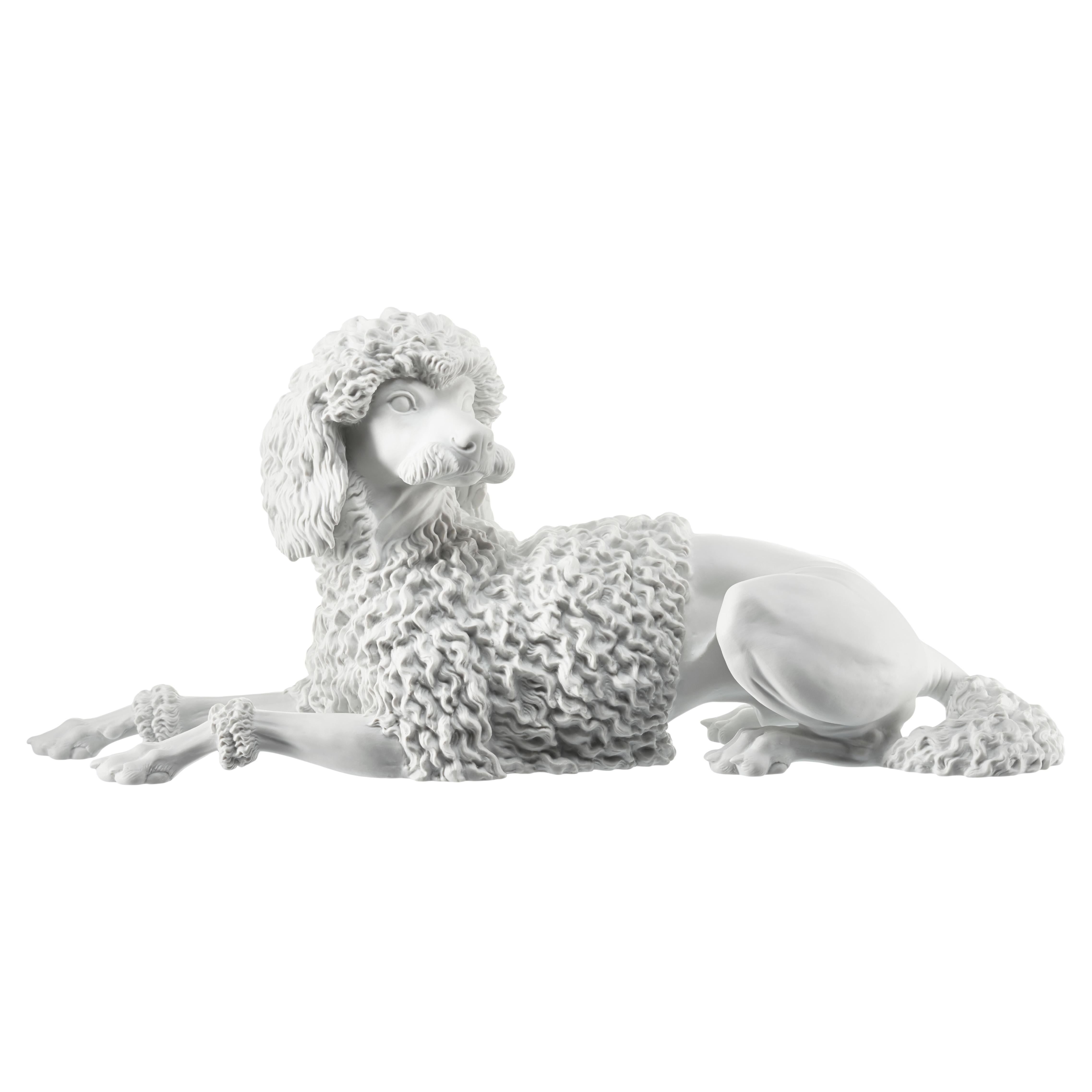 Nymphenburg Porzellan Manufaktur - Caniche rizado tumbado de porcelana bizcochada blanca en venta
