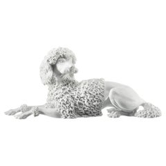 Nymphenburg Porzellan Manufaktur - lying curly poodle in white bisque porcelain