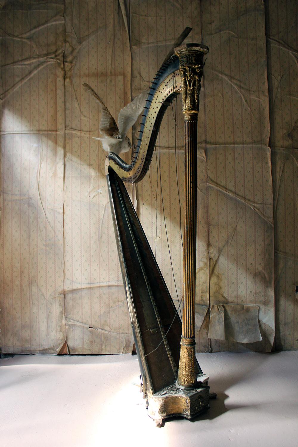 O Ruin’d Harp, Unique 9