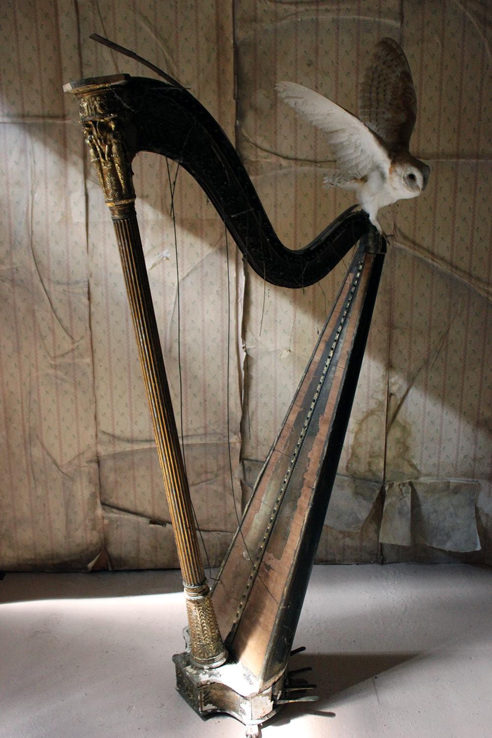 O Ruin’d Harp, Unique 11