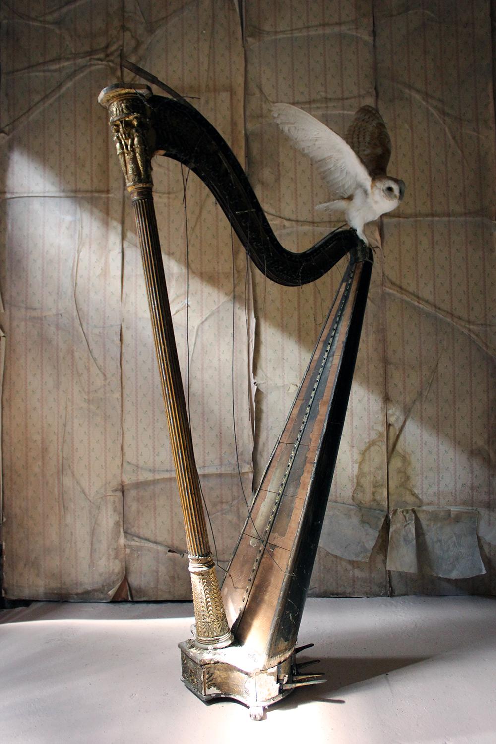 O Ruin’d Harp, Unique 12