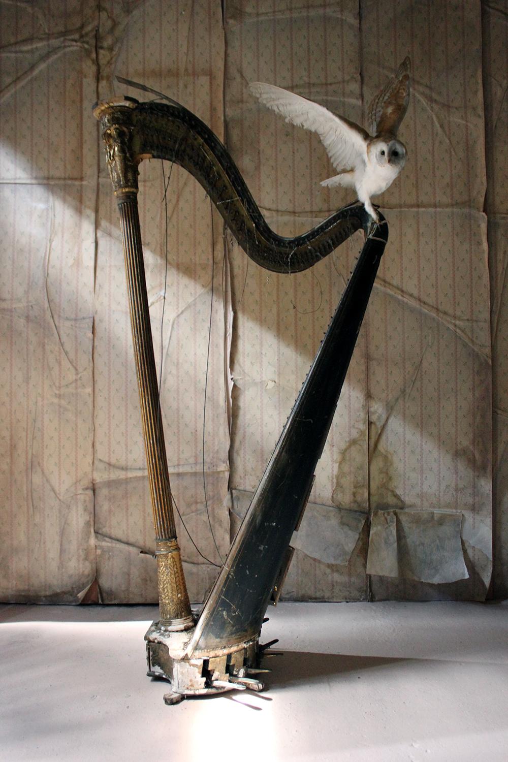 O Ruin’d Harp, Unique 13