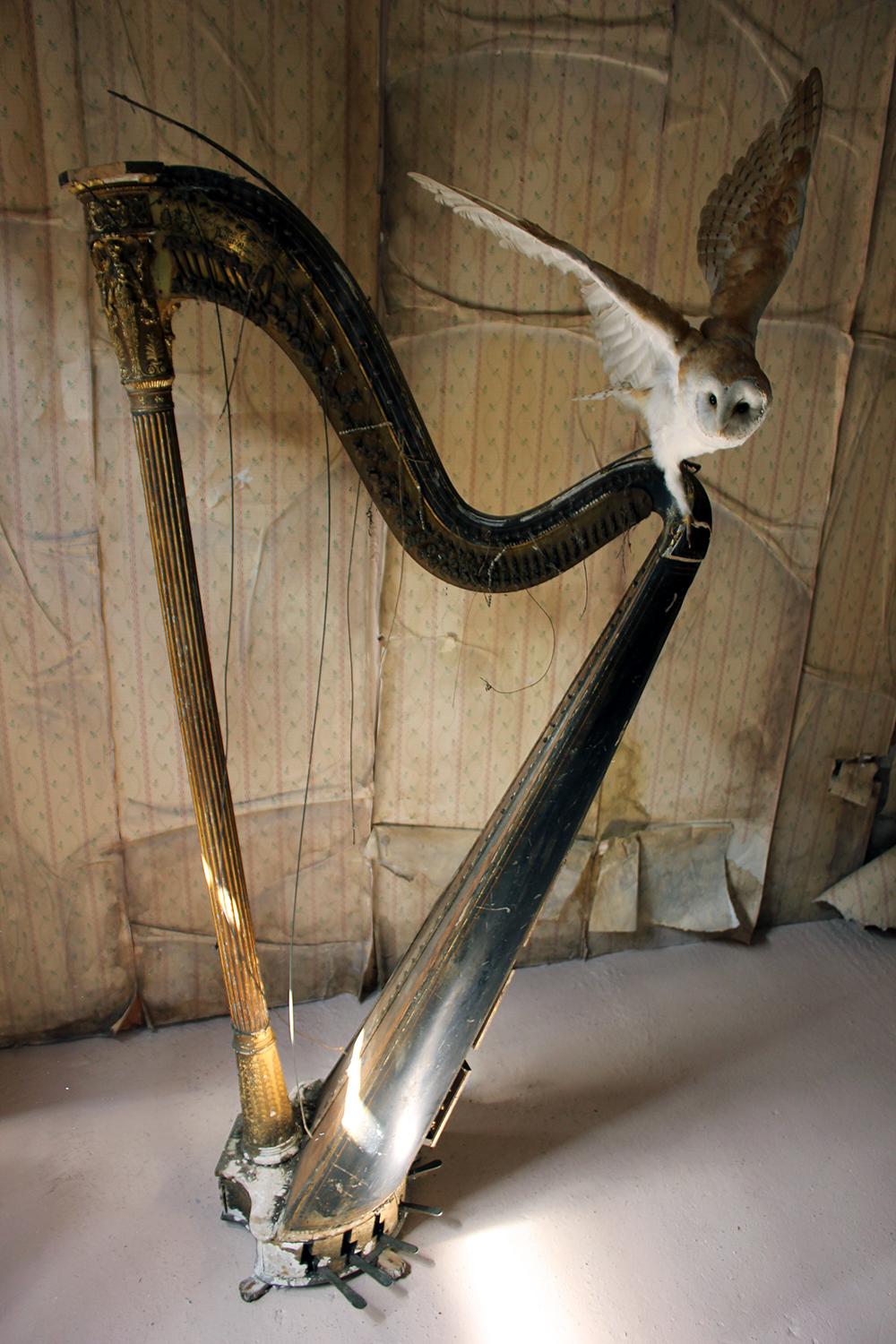 O Ruin’d Harp, Unique 2