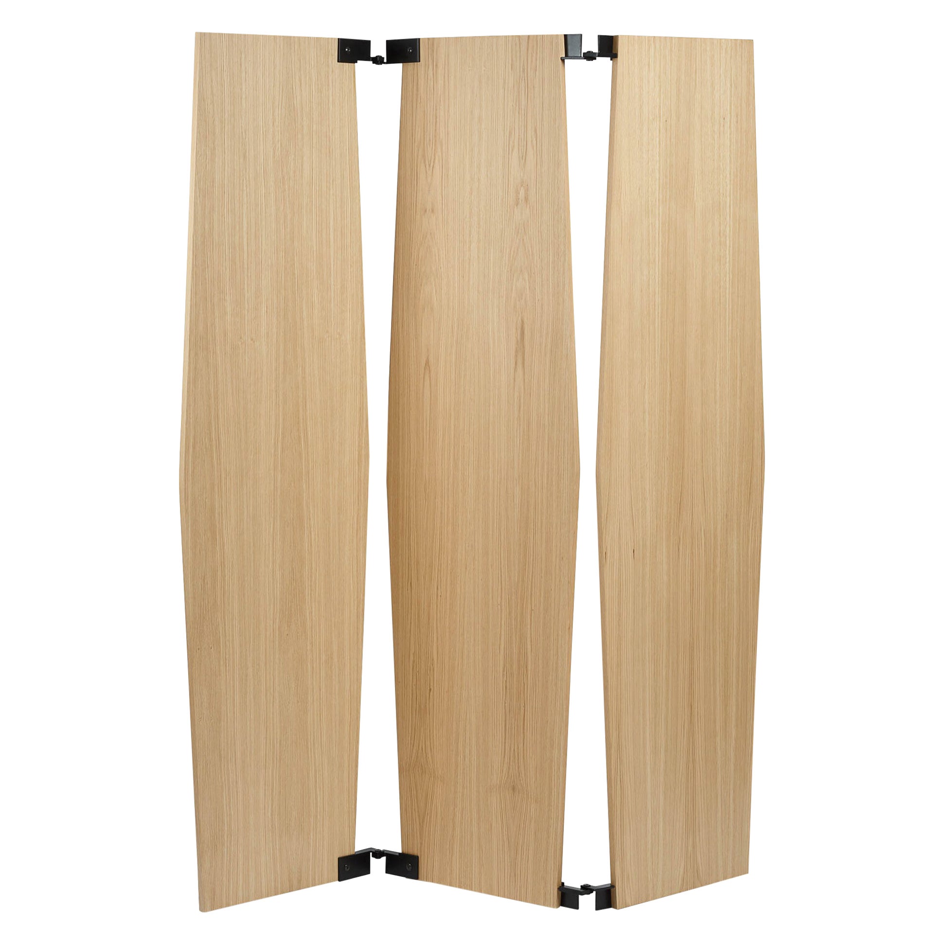 Oak and Mat Black Steel Screen For Sale