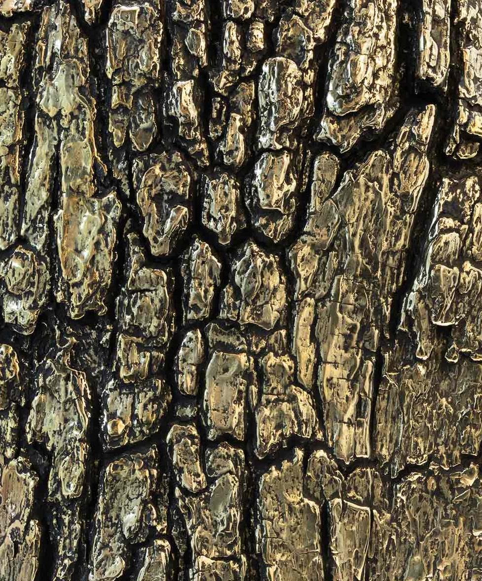 Bark-Tischskulptur aus Eichenholz von Lionel Hamon (Französisch) im Angebot