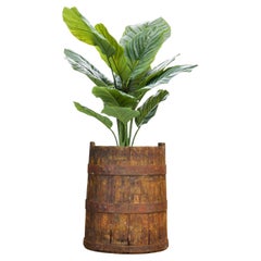 Cache-pots et jardinières